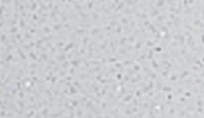 BLANCO ESTELAR - cuarzo blanco con destellos brillantes que aportan elegancia BLANCO ESTELAR